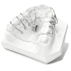 orthodontic-base - blanc