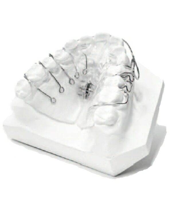 orthodontic-base - blanc